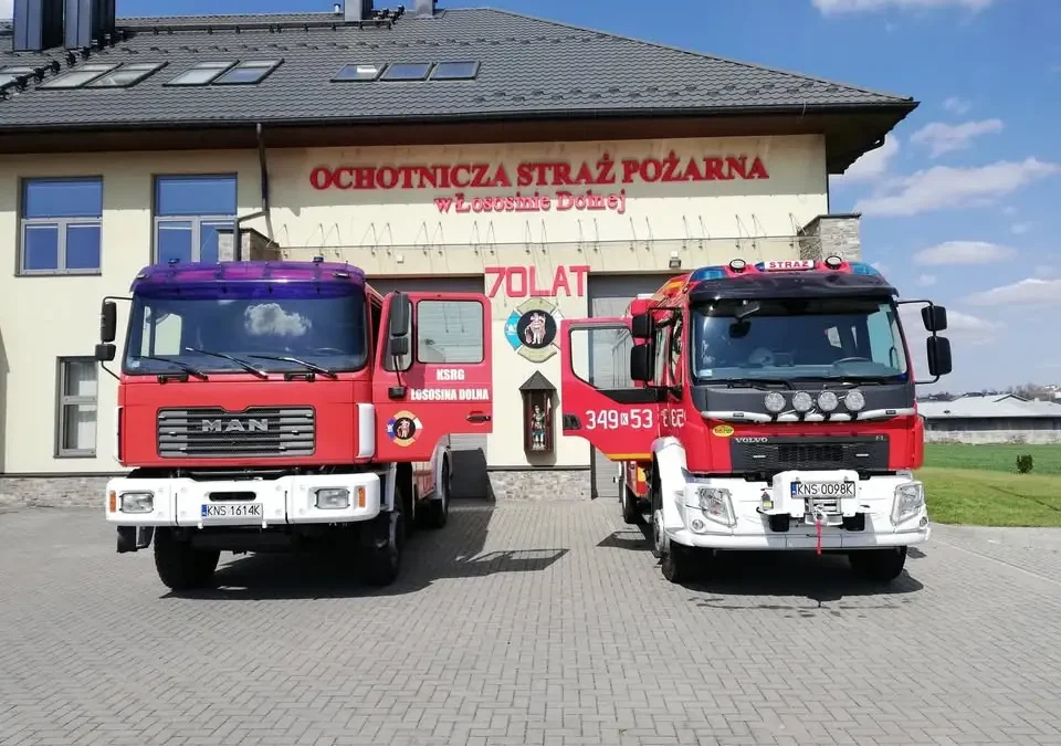 Powalone drzewo zablokowało drogę w Witowicach Dolnych