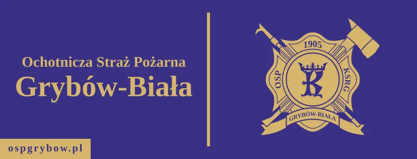 Ochotnicza Straż Pożarna w Grybowie uczciła 82. rocznicę Powstania Warszawskiego
