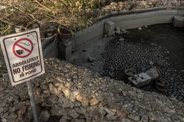 Gmina Gródek nad Dunajcem wprowadza zakaz podlewania trawników i mycia pojazdów