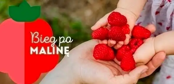 Bieg po Malinę – Sztafeta Jagodowa 2026 już 13 września w Gminie Podegrodzie