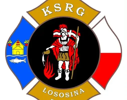 Strażacy z OSP Łososina Dolna zabezpieczali festyn i usuwali awarię karuzeli