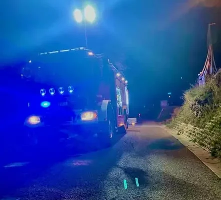 Kolizja z sarną w Leluchowie – wyciek płynów eksploatacyjnych