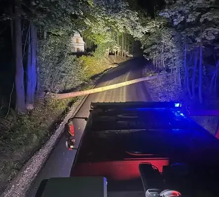 Powalone drzewo na drodze w Podegrodziu – interwencja strażaków OSP