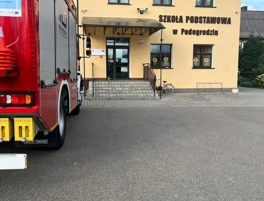 Podegrodzie: strażacy usuwali gniazdo owadów błonkoskrzydłych