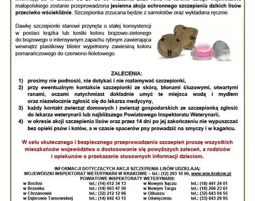 Małopolska: szczepienie lisów przeciw wściekliźnie od 20 do 30 września 2026
