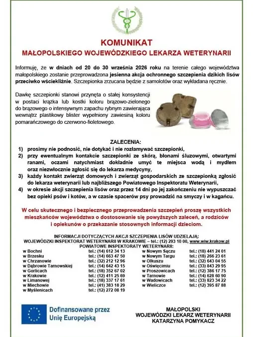 Małopolska: szczepienie lisów przeciw wściekliźnie od 20 do 30 września 2026