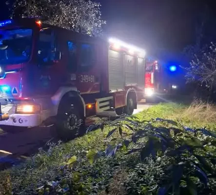 Nocny pożar budynku gospodarczego w Olszanie. Akcja strażaków z Podegrodzia