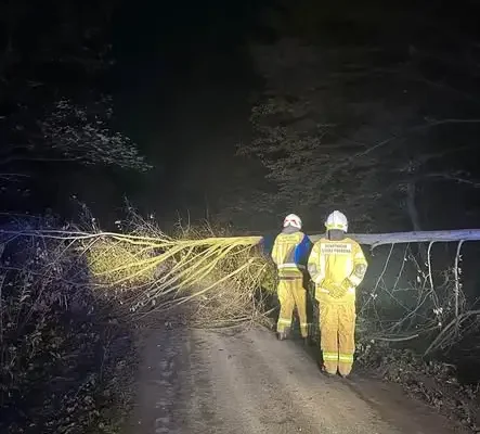 Powalone drzewo w Gródku nad Dunajcem – nocna akcja OSP