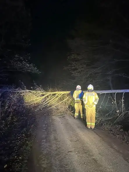 Powalone drzewo w Gródku nad Dunajcem – nocna akcja OSP