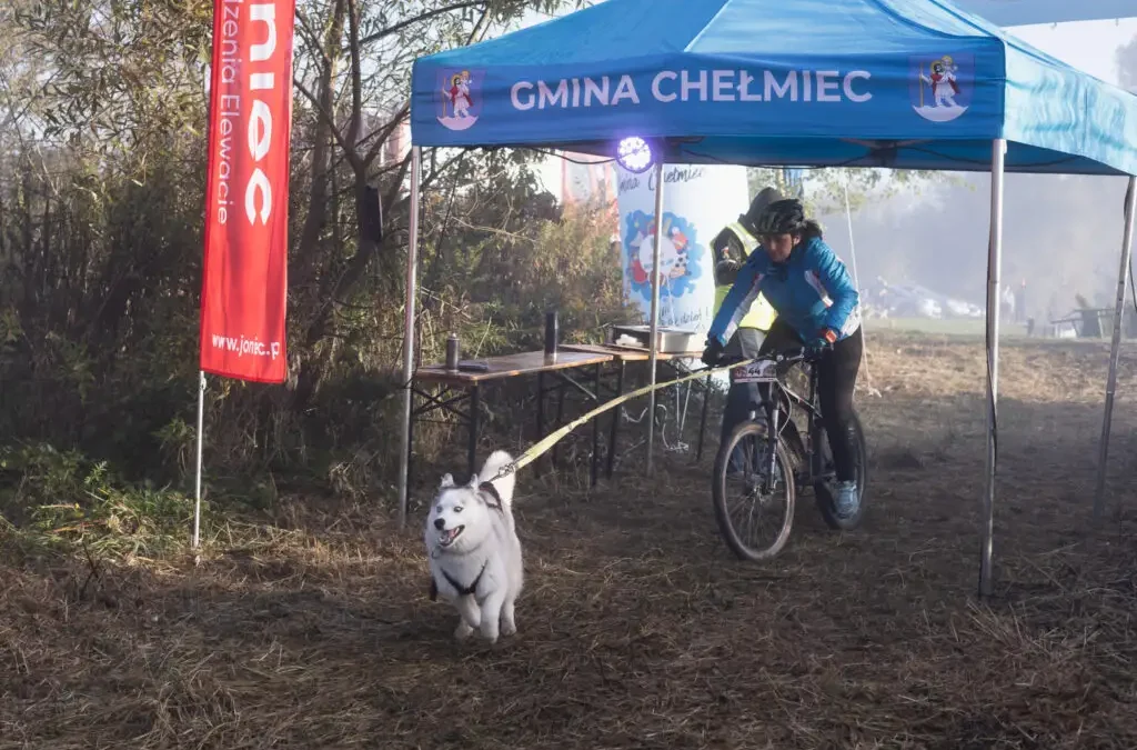 SKYLOS Twisted Trails w Świniarsku – dwa dni sportowej rywalizacji z psami